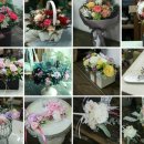 (주)수강약품 이미지