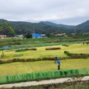 역천파크골프장 이미지