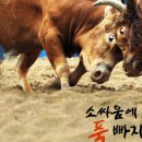청도기획영상