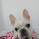 평화미용실 이미지