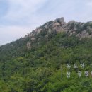 목포해상케이블카주식회사 네이버블로그