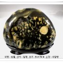 송월 이미지