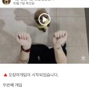 이든반려견 문화센터 이미지