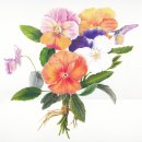 보태니컬아트(색연필화) 이미지