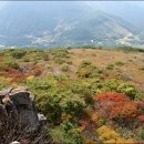 나의목장 이미지