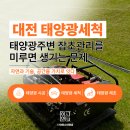 햇빛잘받는 태양광발전소 | 태양광제초 왜 해야하나요? 태양광설치 이후 잡초관리를 미루면 생기는 문제