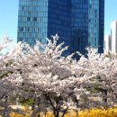 도화초등학교(37367) 이미지