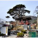 홍류경로당 Daum카페