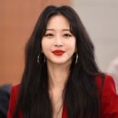 오케이유흥주점 티스토리