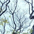 괴정2동-2 이미지