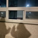 수기초등학교 | 첫 학년, 첫 학기