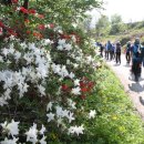 희망2길 이미지