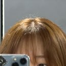 알찬 이번주
