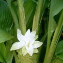 김중현 농장 이미지