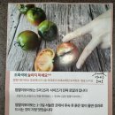 대저식품 | 일반 토마토랑 차원이 다르다, 대저토마토 리얼 후기