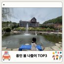 정기농장 | 경기도 용인 가볼만한곳 TOP3 에버랜드부터 농촌테마파크까지 봄에 가기 딱 좋은 곳