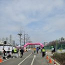 대한자원 | 서울 봄꽃 레이스 마라톤 자원봉사 후기('26.4.5)