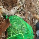 원창5리 이미지