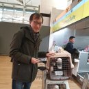 리치켄넬 이미지