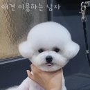 미용하는 남자 이미지