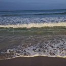 송리단펜션 이미지