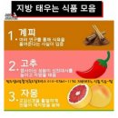 드림종합인테리어 이미지