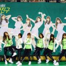 와아이라 이미지