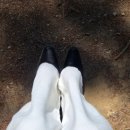 에퓨레 ROBE Square Pumps (black) 내돈내산 후기