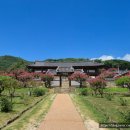 유네스코화장실 | [경북] 안동 병산서원 배롱나무 실시간 세계유산 한국의서원 유네스코 주차장 화장실