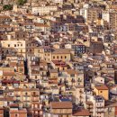 신영 인사이트 이미지