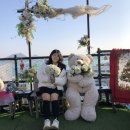 목포 서산동시화골목, 빨강머리앤카페, 코롬방제과점, CLB 베이커리, 목포해상케이블카, 고하도, 유달산...