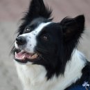 서하남로451번길 이미지