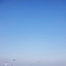 스타커피 이미지