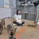 간사님 품안이 편안한 토토 이미지