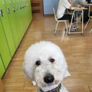 이리중학교 이미지