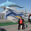 월미도 선착장 이미지