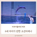 아이로제주 | 오션아레나 공연에 반한 6세 아이, 아쿠아플라넷 제주 내돈내산 후기