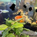 중앙대로195번길 이미지