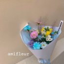 아미플레르 이미지