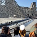 부용약국 이미지