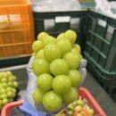 해찬농장 이미지