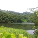온곡제 Daum카페