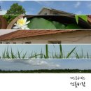 선흘바람 이미지