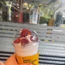 엑스포코아 이미지