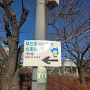 수피아어린이집 | 부천 수피아 식물원｜겨울 크리스마스 트리 보러 상동호수공원 옆 힐링 산책