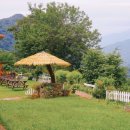 학곡목장 | 춘천 여행 해피 초원 목장 / 춘천 놀 거리 가볼 만한...막국수 닭갈비 웨이팅 후기 / 7월 국내 여행지...