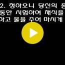 12월 2일 1년 1독 성경읽기 [다니엘 1-2장, 요한일서 3장] [개역개정] December 2 One Year Bible Daily Reading [Daniel 1-2, 1 John 3] (Reformation Bible) 이미지