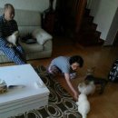 정도농장 이미지