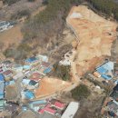 트리힐스