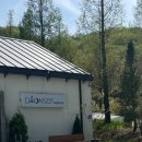 다온숲 | 세종 글램핑장 다온숲 후기 (대전 근교 힐링 숙소 추천)